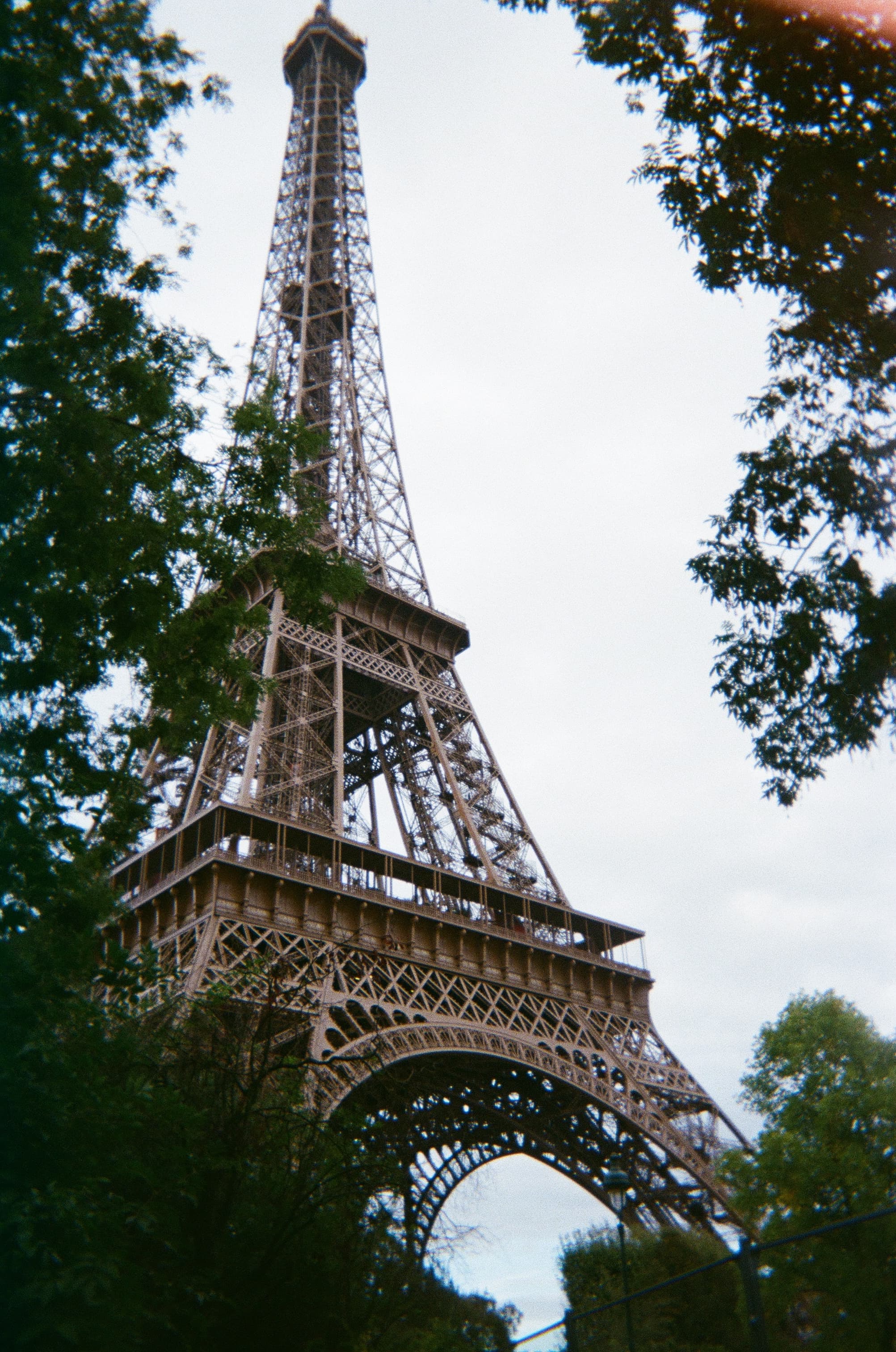 Eiffel Tower through trees