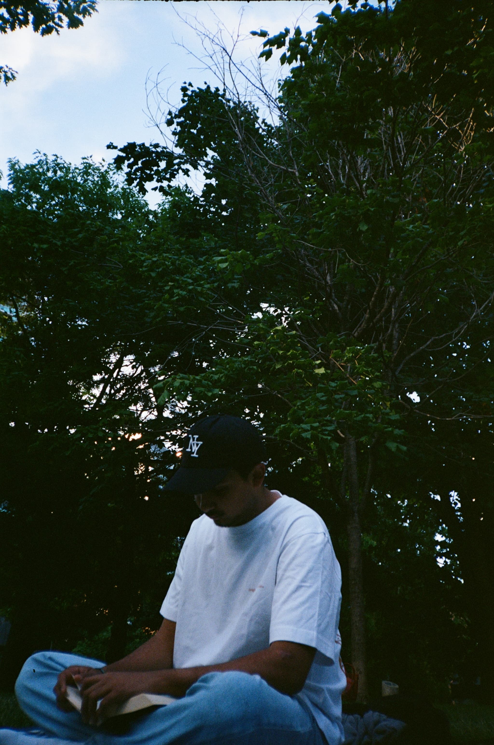 Reading under a tree
